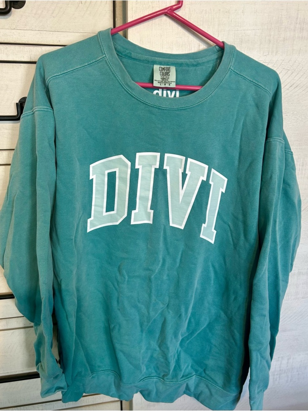 Comfort Colors Teal DIVI Pullover Sweatshirt (Dani Austin’s Company)